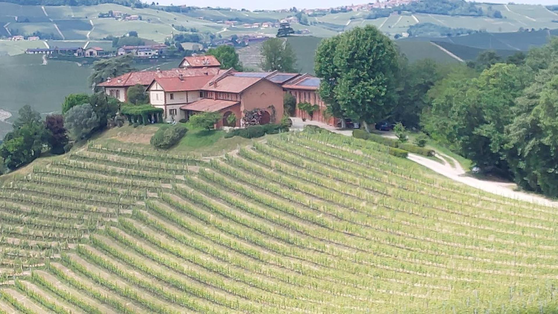 Tenuta Montanello B&B Castiglione Falletto Exterior foto